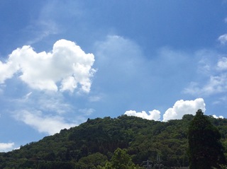 猪子山.jpg