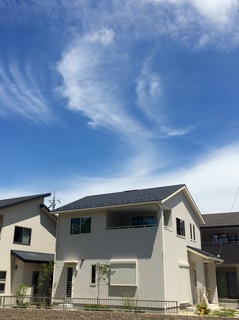 1-1号地.jpg