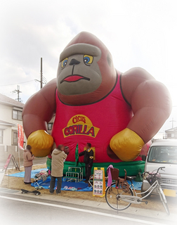 2016.2.21下5写真ゴリラ.jpg