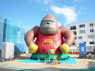 草津のフワフワゴリラ.jpg